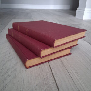 Conan the Barbarian: Private Library Edition - Image 2
