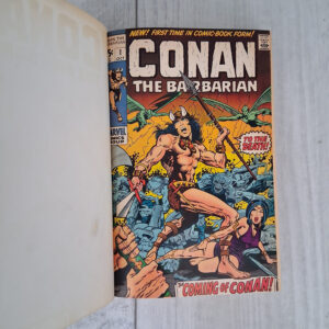 Conan the Barbarian: Private Library Edition - Image 5
