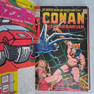 Conan the Barbarian: Private Library Edition - Image 6