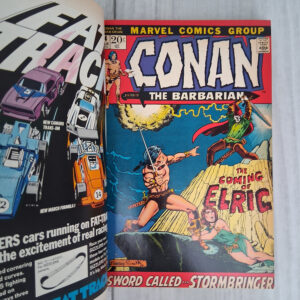 Conan the Barbarian: Private Library Edition - Image 9