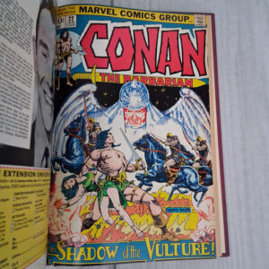 Conan the Barbarian: Private Library Edition - Image 14