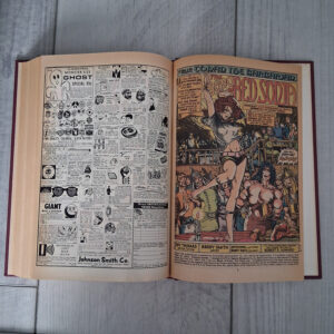 Conan the Barbarian: Private Library Edition - Image 8