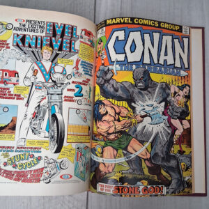 Conan the Barbarian: Private Library Edition - Image 15
