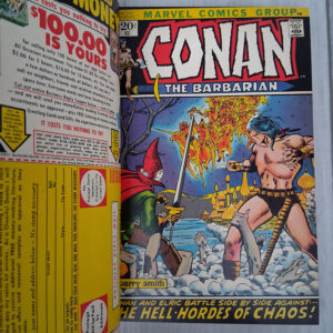 Conan the Barbarian: Private Library Edition - Image 13
